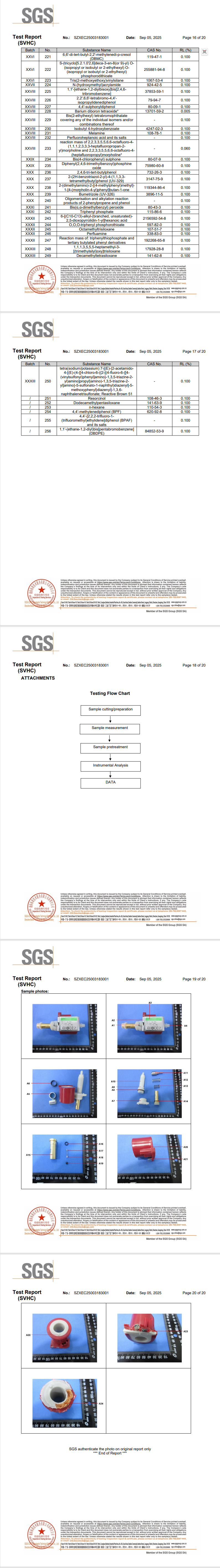 1765432273589296.png 04.png